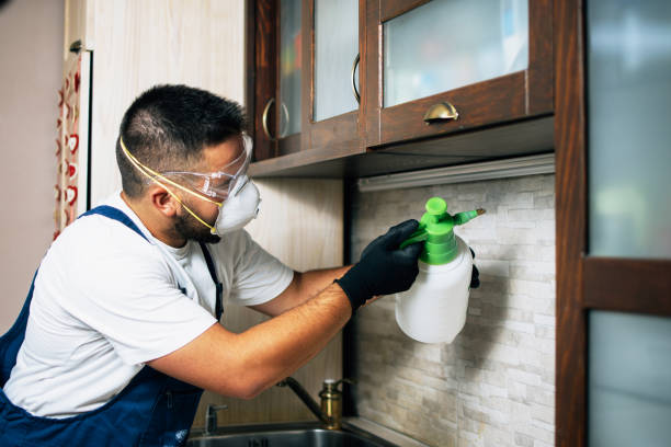 Best Wasp Removal Services  in Marin City, CA