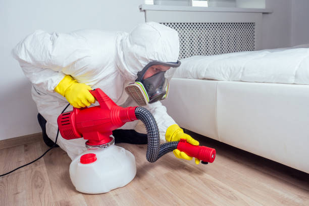 Best Pest Control for Homes  in Marin City, CA
