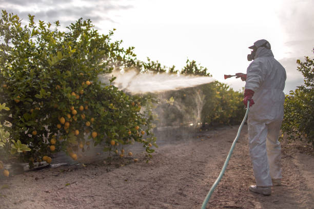 Best Pest Removal Services  in Marin City, CA