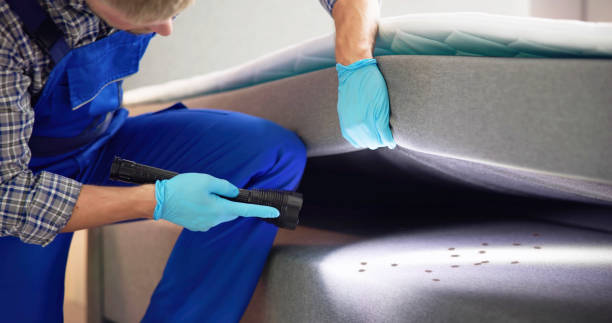 Best Pest Prevention Services  in Marin City, CA