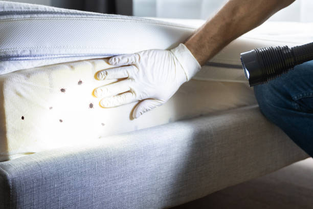 Best Wildlife Control Services  in Marin City, CA
