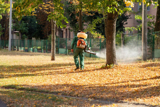 Best Emergency Pest Control  in Marin City, CA