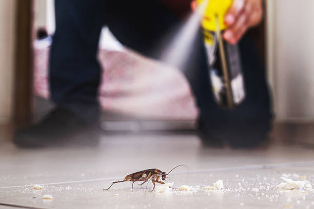Professional Pest Control in Marin City, CA