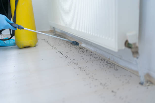 Best Affordable Pest Control Services  in Marin City, CA